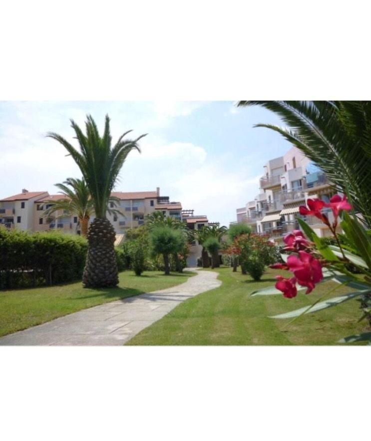 Rez De Jardin + Terrasse Piscine Et Acces Direct Plage Apartment Saint-Cyprien  Exterior photo